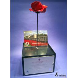 Poppy Display Case (WITH STEM)