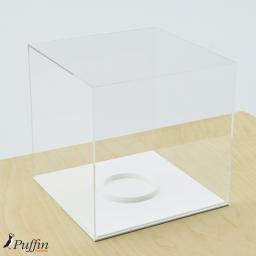 Football Display Case - White Base