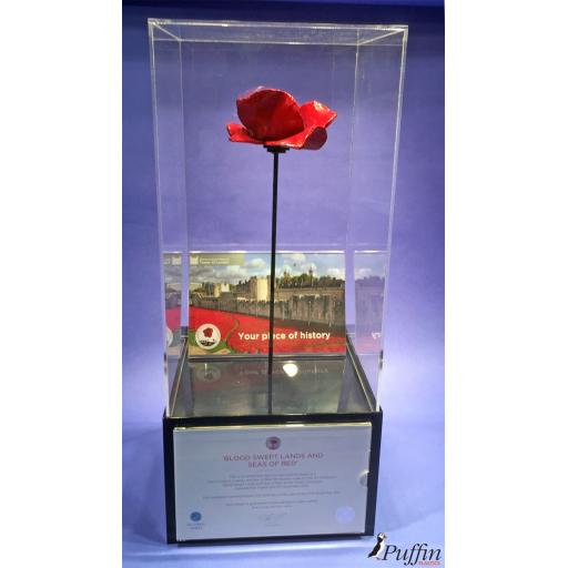 Poppy Display Case (WITH STEM)