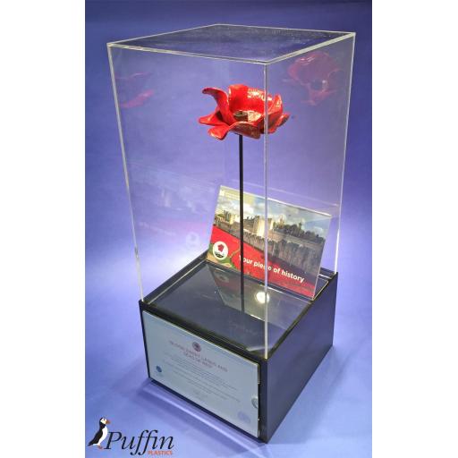 Poppy Display Case (WITH STEM)