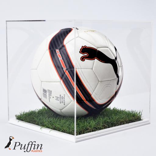 Football Display Cases