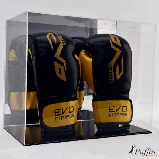 Boxing Glove Display Case - Double Portrait (With Mirror Backing)