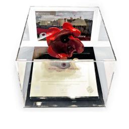 Poppy-Display-Case---Black-Base--V2.jpg