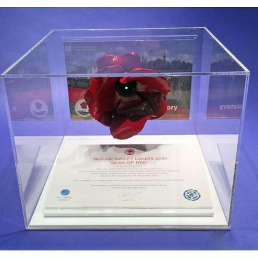 Poppy Display Case - White