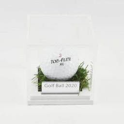 Golfball-Grass-Effect-With-Inscription.jpg