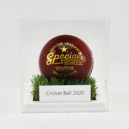 Cricket-Ball-Grass-Effect.jpg