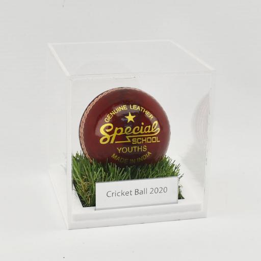 Cricket Ball Display Case