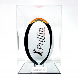 Rugby Portrait - Mirror Base .jpg