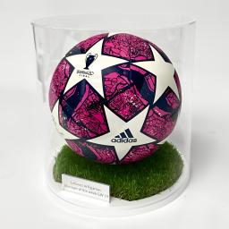 grass ball back up purple (1).png