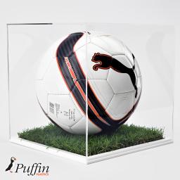 puma display case ball.png