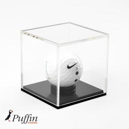 golf ball case back up.png