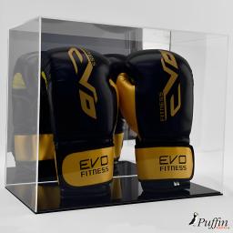 boxing gloves back up .png