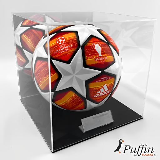 Football Display Case With Mirror Back