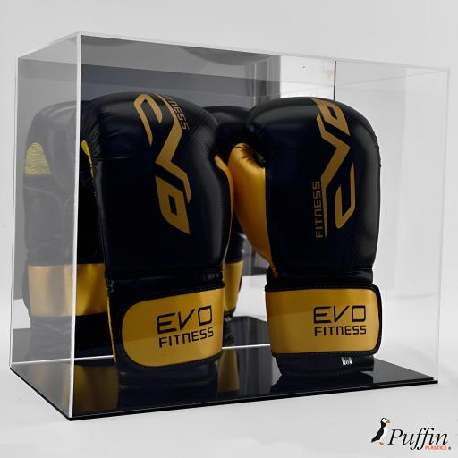 Boxing Glove Display Case - Double Portrait (With Mirror Backing)
