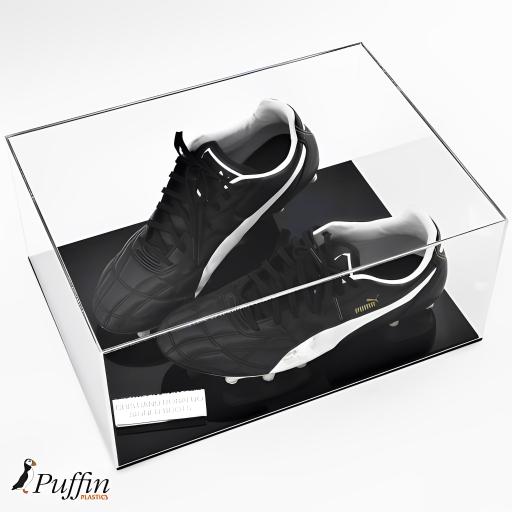 Collectable Display Case - Double