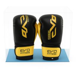 boxing double portrait light blue.png