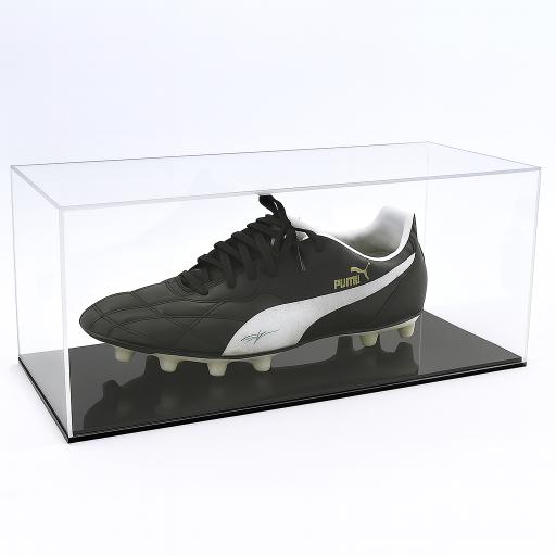 Trainer Display Case - Single