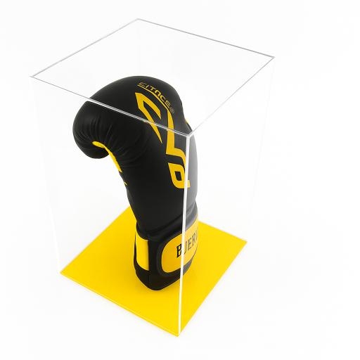Boxing Glove Display Case - Single Portrait Colour Base