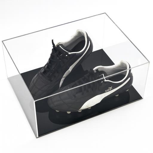 Trainer Display Case - Double